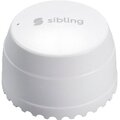 00-00003096-sibling