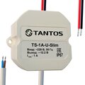 00-00012832-tantos