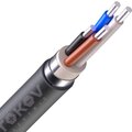 00-00036283-tokov-electric