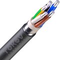 00-00036625-tokov-electric