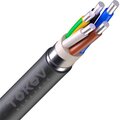 00-00036631-tokov-electric