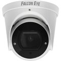 00-00117034-falcon-eye