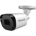 00-00127282-falcon-eye