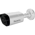 00-00143889-falcon-eye