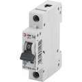 0031830_1