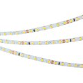 015649-2-arlight