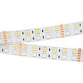 018144-2-arlight