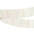 019081-2-arlight
