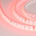 019096-2-arlight