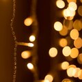 024830-arlight