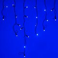 026010-arlight