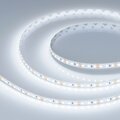 028568-2-arlight