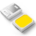029566-arlight