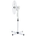 030381-skrap-2