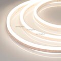 030875-arlight
