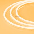 030880-arlight