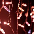 031189-arlight