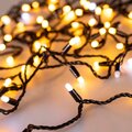 031208-arlight