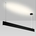 031470-arlight-1