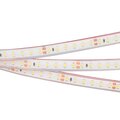 033785-arlight