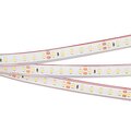 033786-arlight