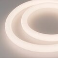 036272-arlight