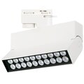 036467-arlight