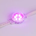 036828-arlight-4