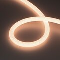 037566-arlight