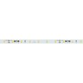 037957-arlight-3