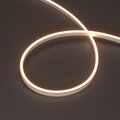 038316-arlight