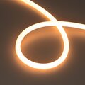 039553-arlight