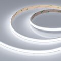 041109-arlight