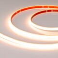 049788-arlight