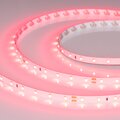 055374-arlight