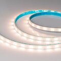 055553-arlight