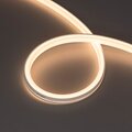 055569-arlight