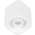 055748-arlight
