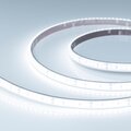 057298-arlight