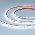 058504-arlight