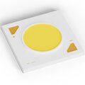 061640-arlight