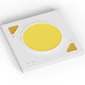 061641-arlight