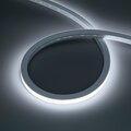 062284-arlight