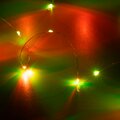062566-arlight