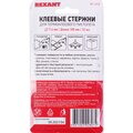 09-1010-rexant-2