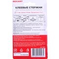 09-1225-rexant-2