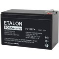 100-12-007sm-etalon-battery