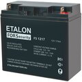 100-12-17s-etalon-battery