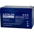 1000-12-36w-etalon-battery