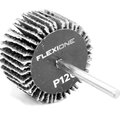 10000157-flexione